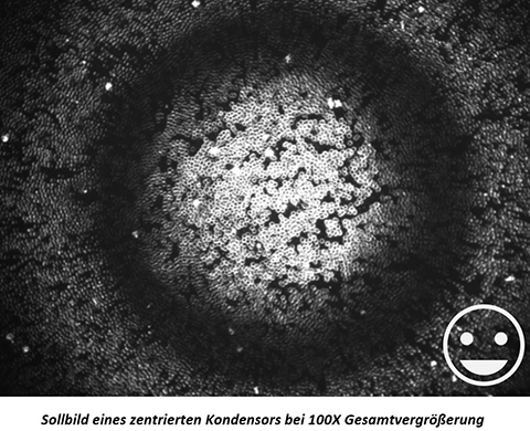 Sollbild eines zentrierten Kondensors bei 100X Gesamtvergrößerung